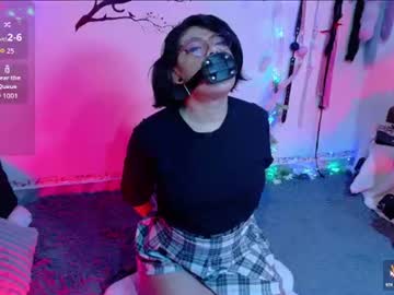 meow_cat4