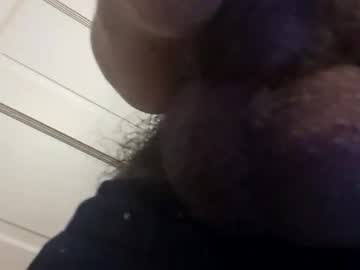 cactus_1041