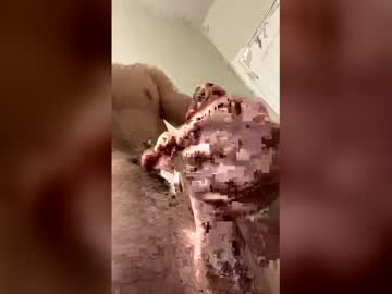 Rooster cock