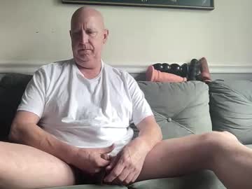 shy_one_cam