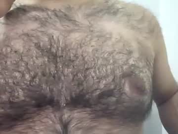 Jay Bear