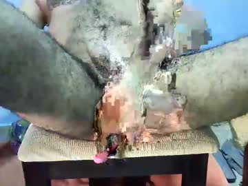 Nicolle (Independent model)